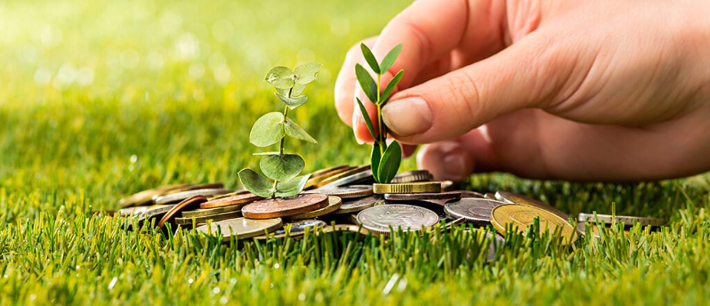 charitable organizations for elderly